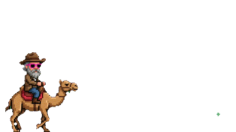 Camel Rider